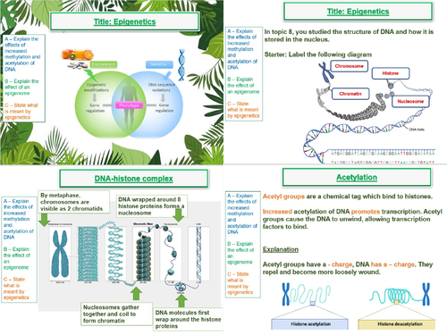 Epigenetic (control of gene expression)- AQA A Level Biology- 20. Gene expression (A2)