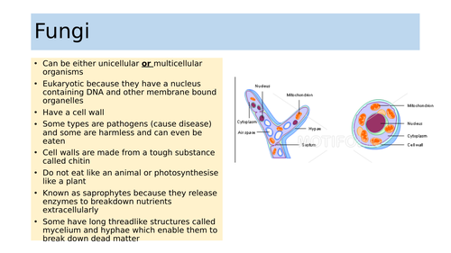 Edexcel IGCSE Biology Section 1 Lesson 2 Classifying Organisms