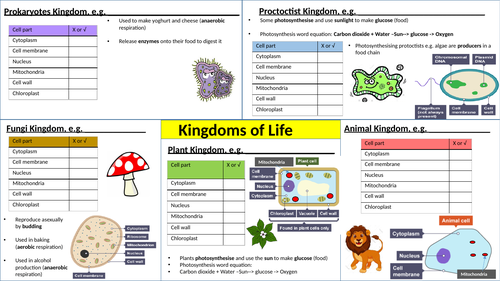 Edexcel IGCSE Biology Section 1 Lesson 4 Fungi and Protists