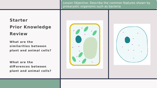 Edexcel IGCSE Biology Section 1 Lesson 5 Bacteria