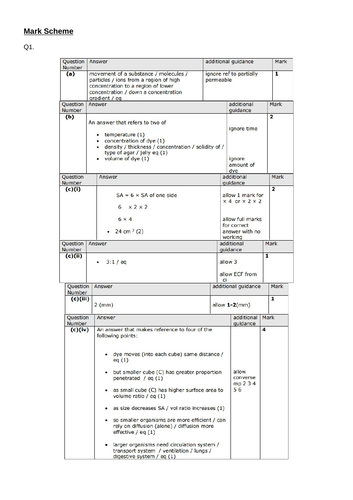 docx, 1.21 MB