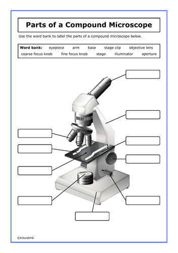 Parts of a Microscope + Answers