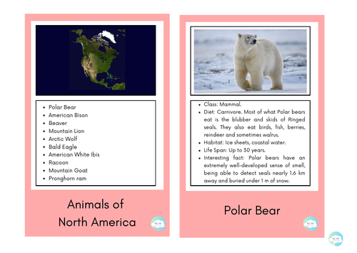 Animals of North America - Fact Cards | Teaching Resources