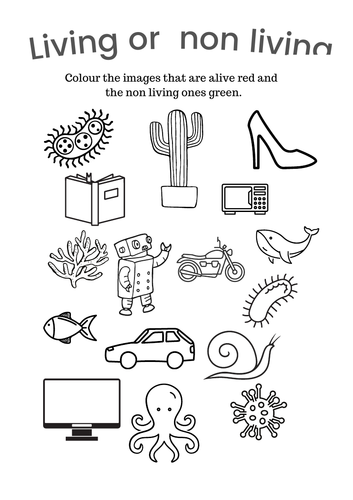 Year 7 Science Worksheets EDEXCEL | Teaching Resources