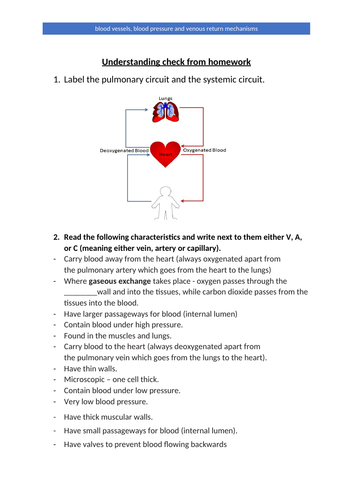 Cardiovascular system - Lesson 4 Vascular System and Venous Return