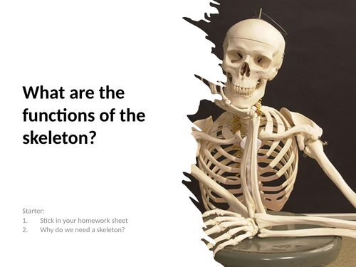7C: Exploring Science - Muscles and Bones | Teaching Resources