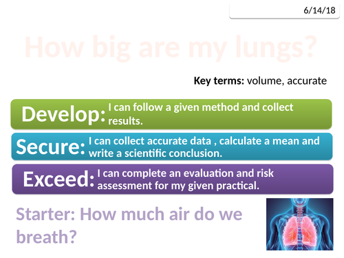 7C: Exploring Science - Muscles and Bones | Teaching Resources