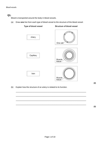 AQA GCSE Biology The heart (full set of resources) | Teaching Resources