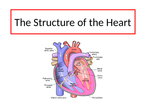 AQA GCSE Biology The heart (full set of resources) | Teaching Resources
