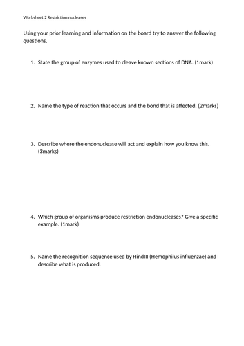 DNA fragments AQA A level Biology | Teaching Resources