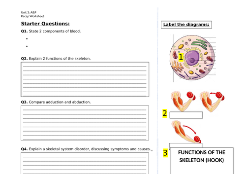 docx, 270.56 KB