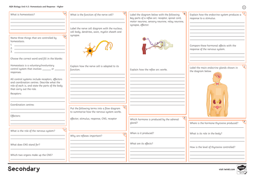 GCSE Biology Higher All Topics Revision Mats | Teaching Resources