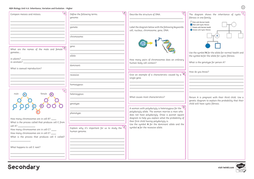 GCSE Biology Higher All Topics Revision Mats | Teaching Resources