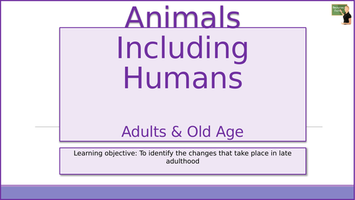 Science- Animals including Humans- Adults & Old Age- Year 5 | Teaching ...