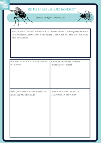 The Fly by William Blake Worksheet