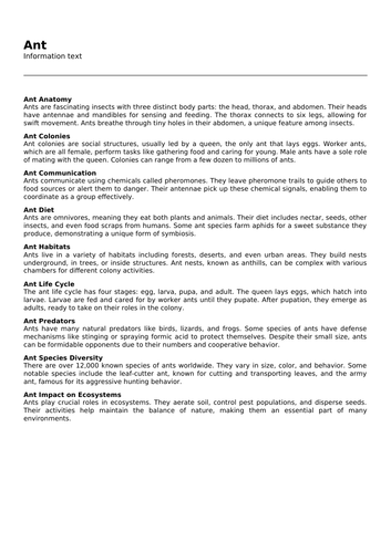 Ant | Teaching Resources