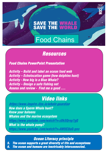 Whale and Dolphin food chains and webs resource pack - Free Biology Diagrams