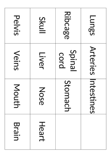 KS3 - Organ Systems | Teaching Resources