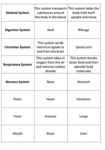 KS3 - Organ Systems | Teaching Resources