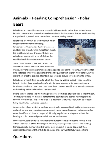 Animals – Reading Comprehension - Polar Bears