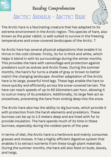 Arctic Animals - Arctic Hare – Reading Comprehension