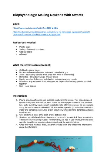 L2: Neurons & Synapses - Biopsychology - AQA Psychology | Teaching ...