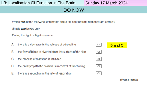 L3: Localisation Of Function - Biopsychology - AQA Psychology ...