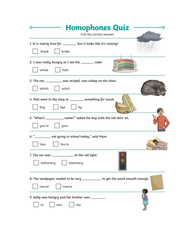 Homophones Lesson | Teaching Resources