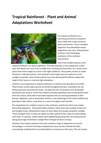 Tropical Rainforest - Plant and Animal Adaptations Worksheet