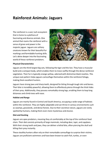 Rainforest Animals: Jaguars