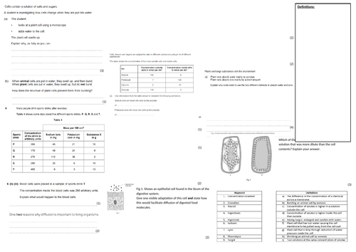 IGCSE CIE A3 Exam sheet - Movement in Cells