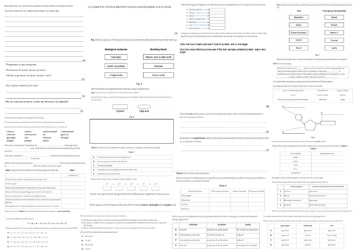 IGCSE CIE A3 Exam sheet - Biological  Molecules