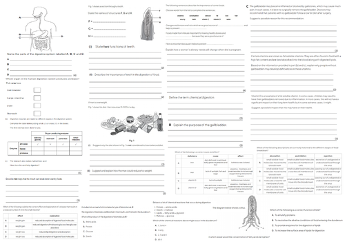 IGCSE CIE A3 Exam sheet - Animal Nutrition