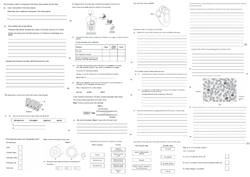 IGCSE CIE A3 Exam sheet - Animal Transport