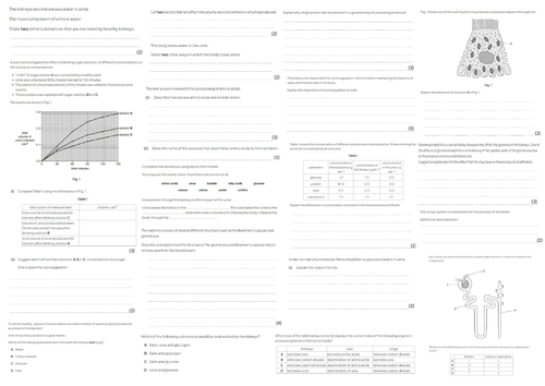 docx, 835.55 KB