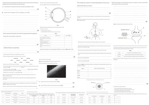 docx, 1.05 MB