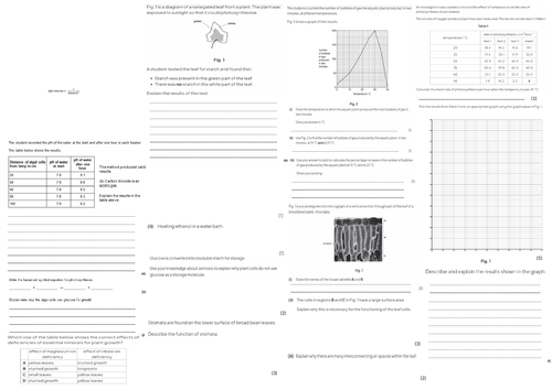 IGCSE CIE A3 Exam sheet - Plant Nutrition