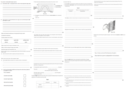 IGCSE CIE A3 Exam sheet - Plant Transport