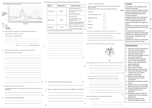 IGCSE CIE A3 Exam sheet - Reproduction