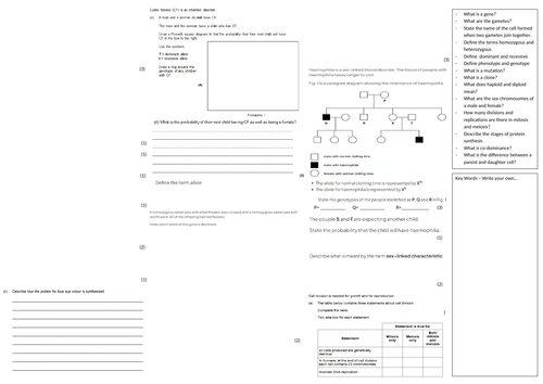 IGCSE CIE A3 Exam sheet - Inheritance