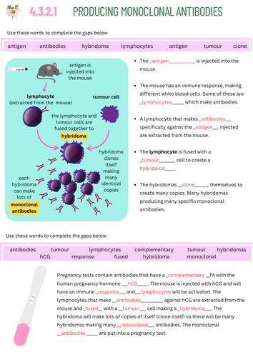 Resident Evil Requiem visual data 6