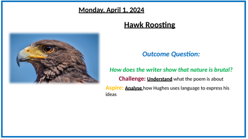 Hawk Roosting - poetry analysis and write up lesson | Teaching Resources