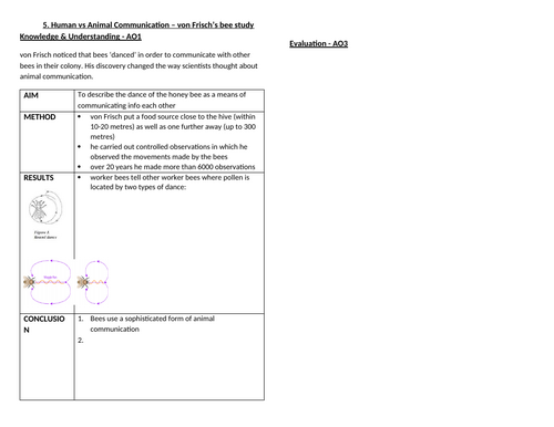 docx, 80.72 KB