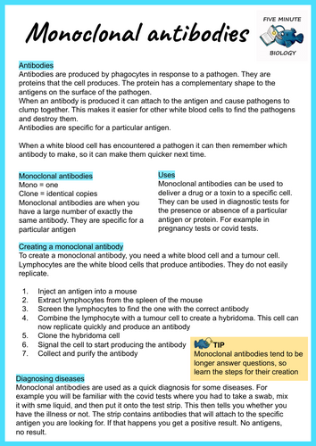 GCSE AQA Biology Triple Science Monoclonal Antibodies revision sheets ...