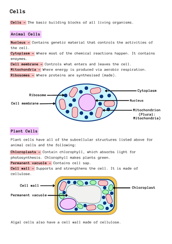 AQA GCSE Biology Topic 1 Revision Notes | Teaching Resources