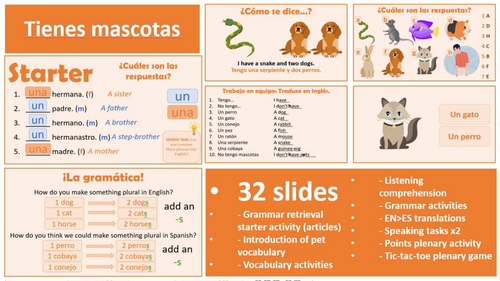 Viva 1, Module 1.5 - Tienes mascotas