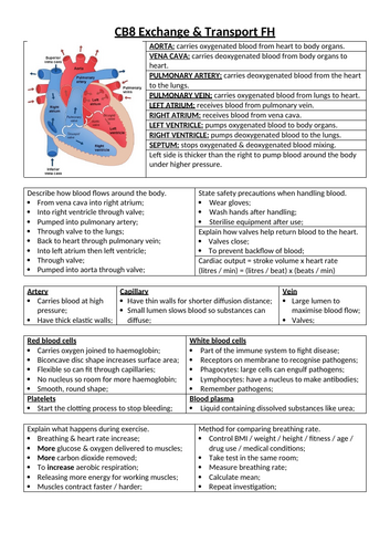 Edexcel GCSE Biology SB8 Fick's Law | Teaching Resources