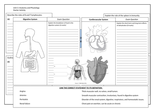 docx, 272.07 KB