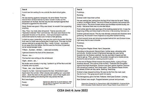 CCEA Unit 4 Mega Revision Bundle! | Teaching Resources