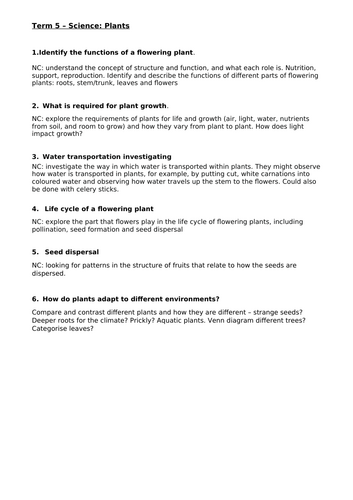 Plants Year 3 | Teaching Resources
